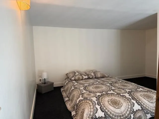Apartment Oullins T3 Cosy 70M2 - 6 Pers 2 Chambre - 2 Mezzanines Metro & Centre A Pied France